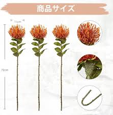 アマゾン｜ヴィラコモ 菊の仏花 ピンクッション