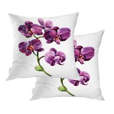 バオニュース 花柄クッションカバー 2枚セット 18x18インチ
